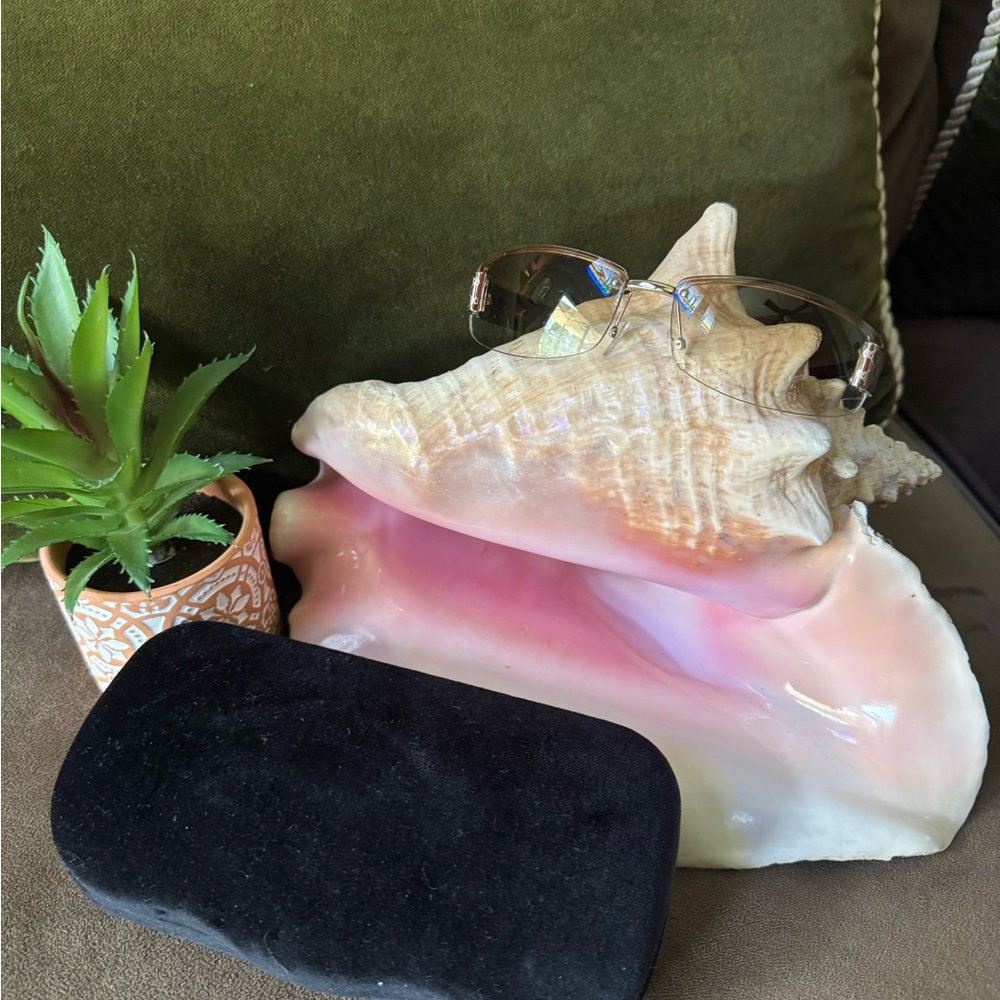 Gucci Sunnies with Case